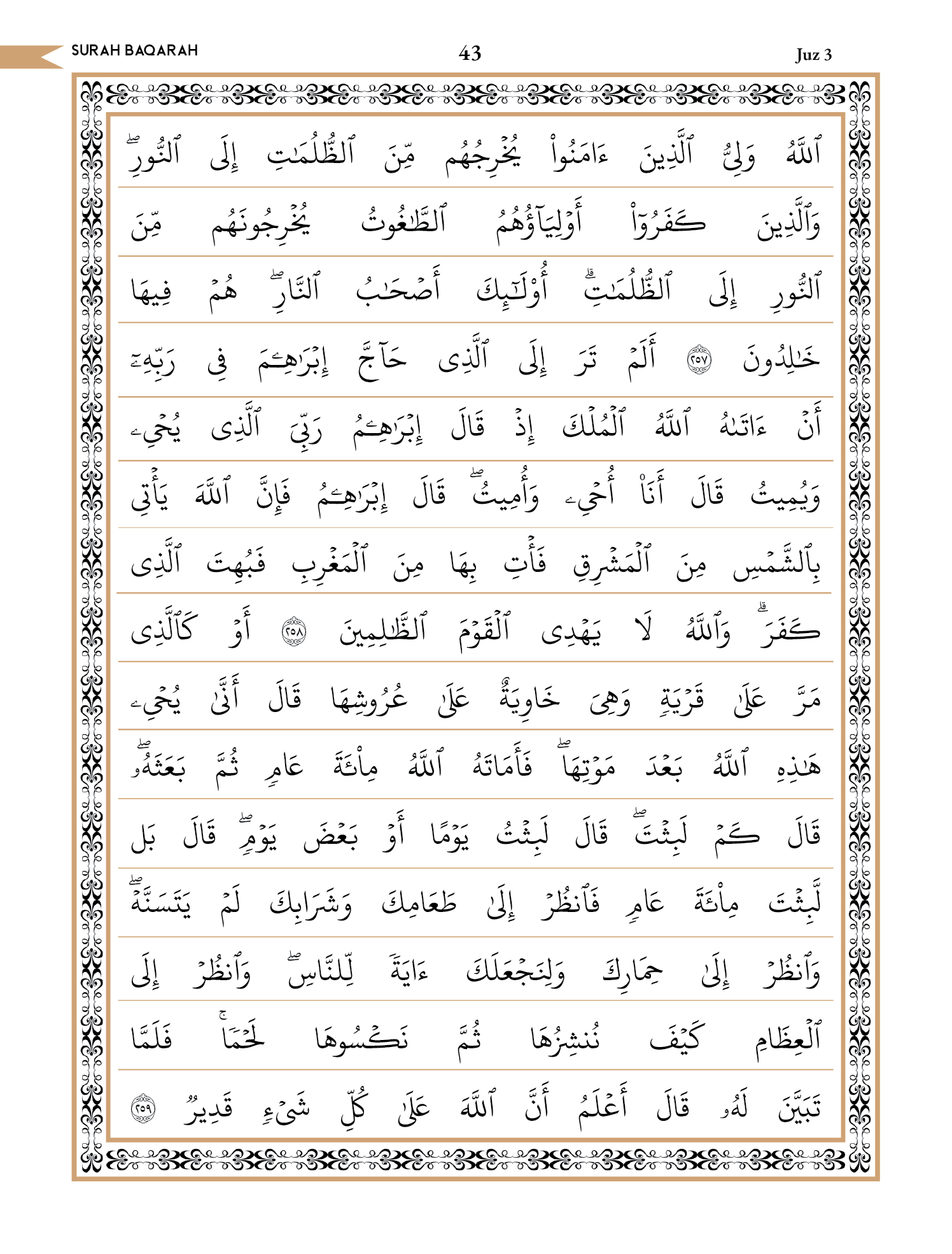 Quran Page 43